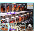 Layer Cages in Poultry House for Chicken with Low Price